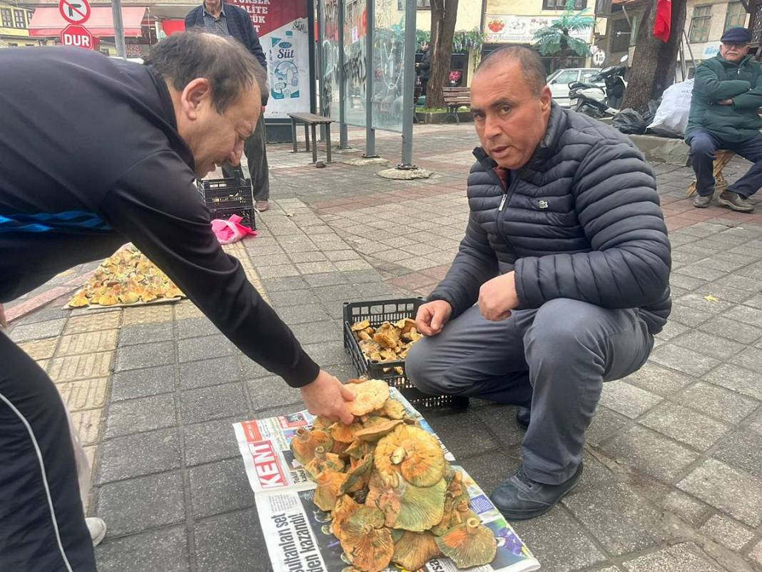 Dağlardan bereket fışkırdı, köylünün yüzü güldü! Kilosu 100 TL'ye kadar düştü 17